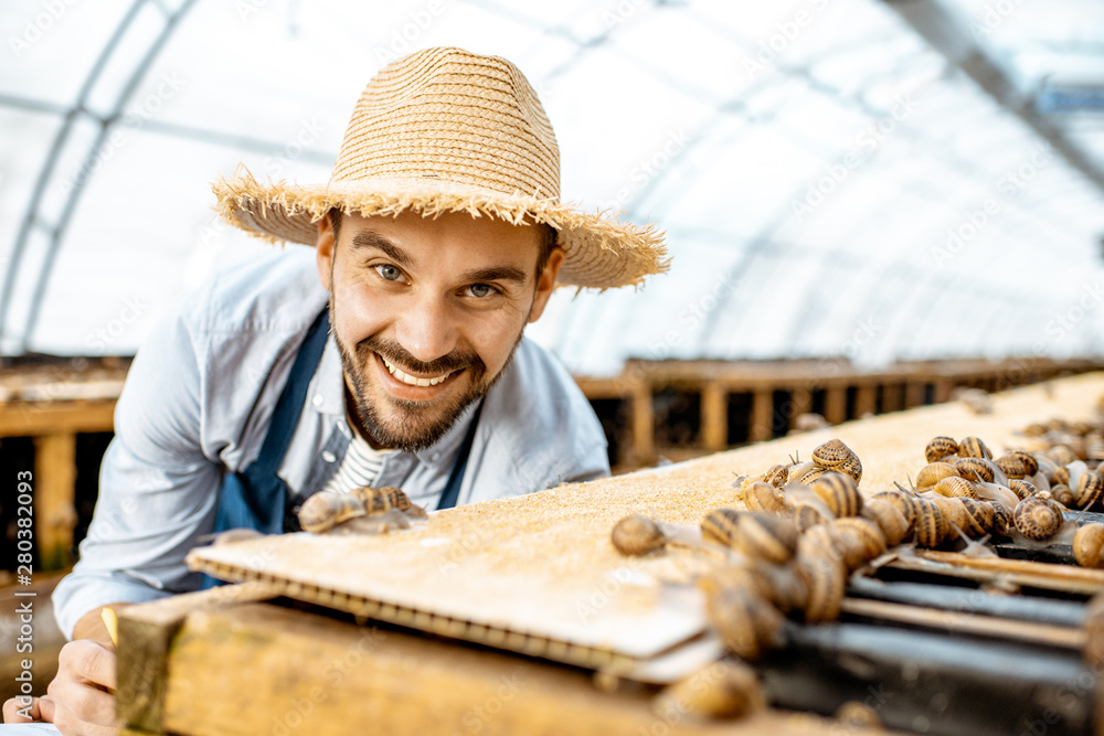 Handsome farmer taking care of snails, examining growing process in the hothouse of the farm. Concept of farming snails for eating Handsome farmer taking care of snails, examining growing process in the hothouse of the farm. Concept of farming snails for eating