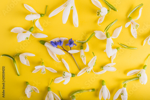 Spring time flowers like snowdrops, hyacinth and roses, isolated on yellow simple background, spring symbol and traditional romanian 