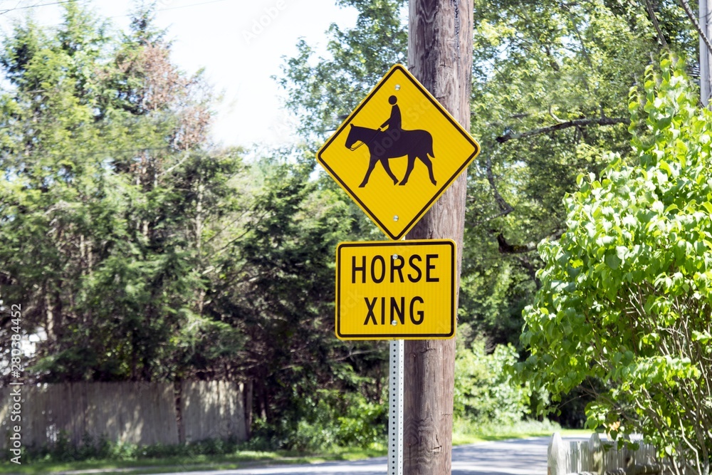 Horse Xing Sign