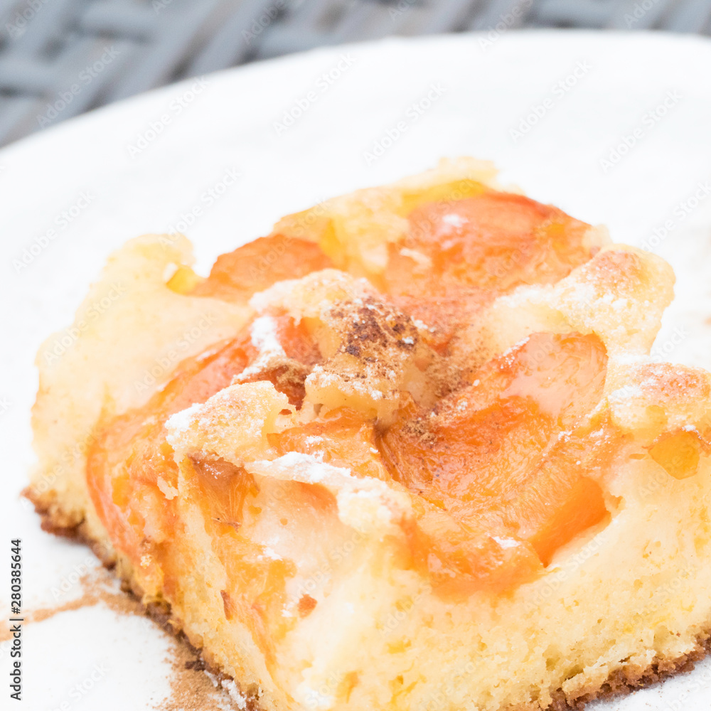 Delicious homemade apricot cake with cinnamon and powdered sugar on a white dishware. Tasty sheet cake with apricots.