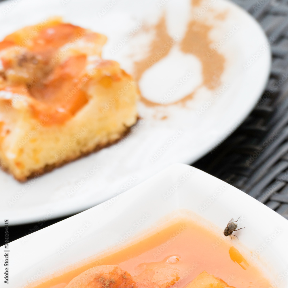 One fly on a white bowl that is filled with an apricot compote. The fly is searching for food and there is a beautiful reflection of the insect in the apricot puree. Apricot cake in the background. One fly on a white bowl that is filled with an apricot compote. The fly is searching for food and there is a beautiful reflection of the insect in the apricot puree. Apricot cake in the background.