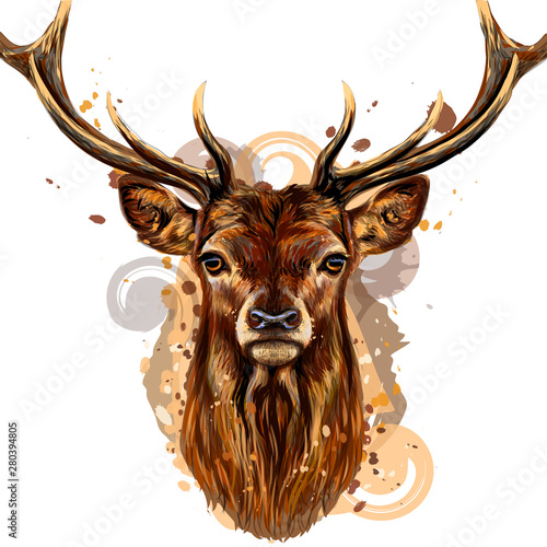  Deer. Artistic, colored, hand-drawn portrait of a deer's head on a white background with splashes of watercolor.