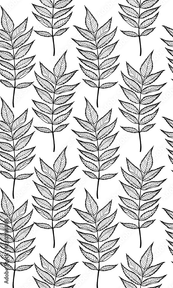 Rowan leaves. Vector seamless pattern. Hand drawn.
