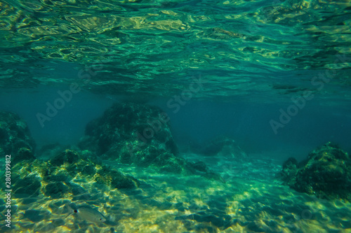 Underwater view of sea bottom. Abstract green background.