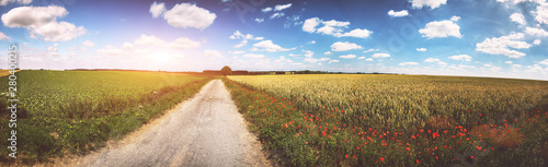 Panoramic summer landscape with country road and poppy flowers