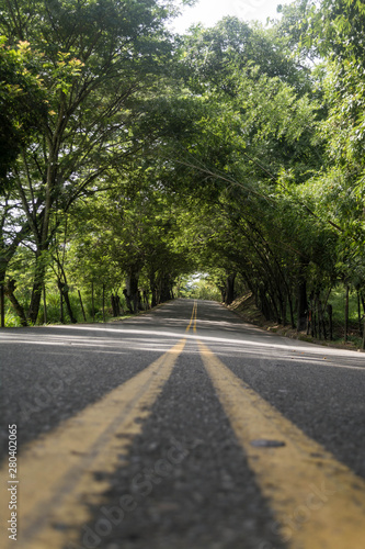 natural path © santiago