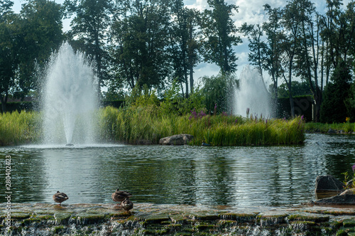 Fototapeta Naklejka Na Ścianę i Meble -  Fountain in lake with ducks Mezhyhirya National Park Ukraine 2019