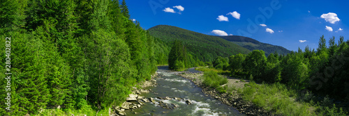 Panoramic view of the mountain river with green forest, blue sky with white clouds. Carpathians, Ukraine