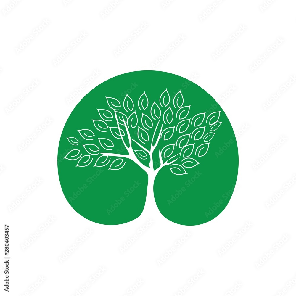 Obraz premium Tree logo template vector illustration