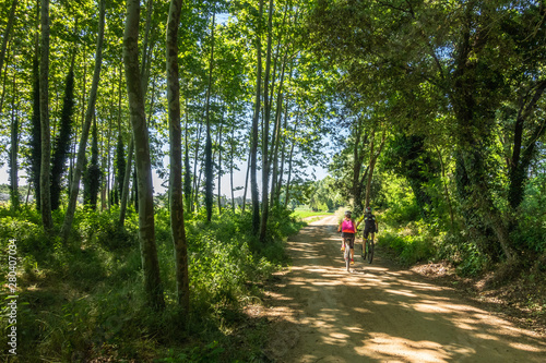 couple of cyclists pedaling along a path between the trees