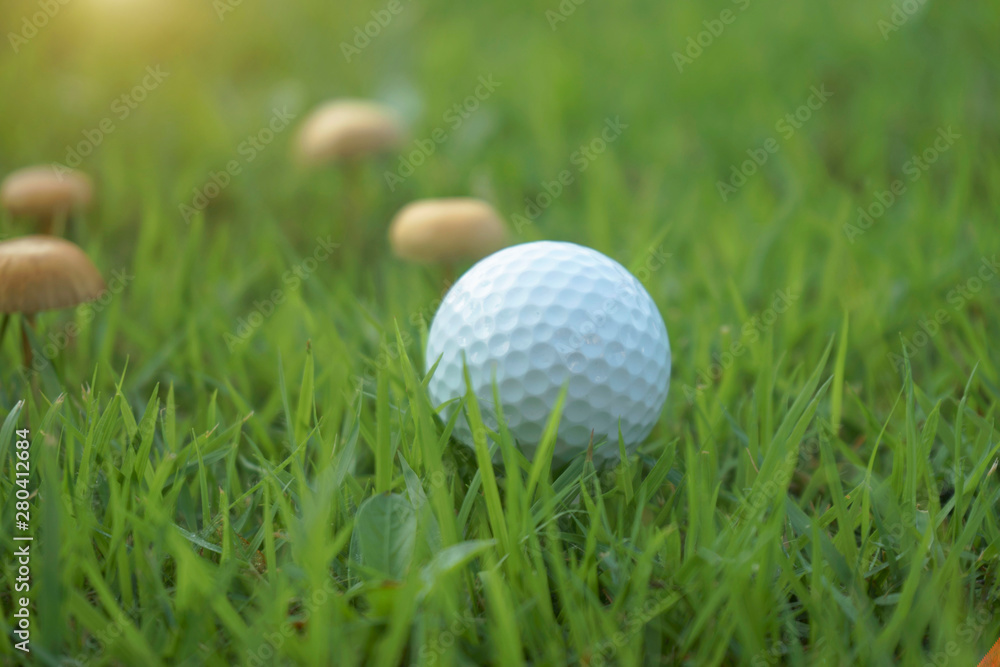 Golf ball on tee in beautiful golf course at Thailand. Collection of golf equipment resting on green grass with green background Golf ball on tee in beautiful golf course at Thailand. Collection of golf equipment resting on green grass with green background