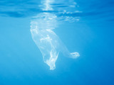 plastic bag floating under the sea water