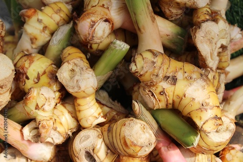 Fresh galangal for cooking in the market