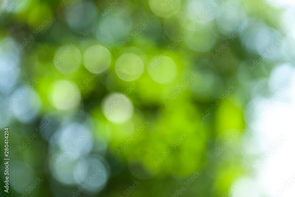 Obraz premium Nature abstract background