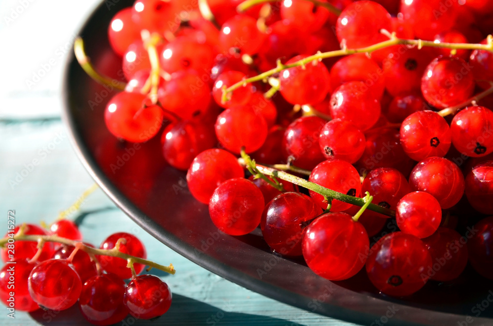 Freshly picked red currant berries on the plate on a blue wooden background.Summer harvest concept.Selective focus. Freshly picked red currant berries on the plate on a blue wooden background.Summer harvest concept.Selective focus.