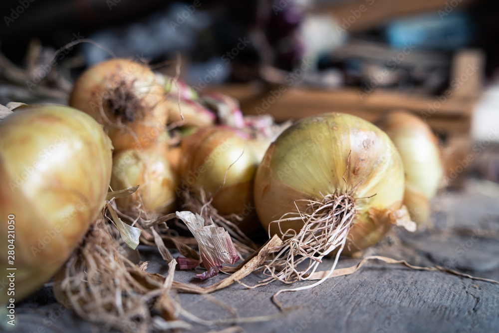 Group of fresh ripe organic red onion harvested in a bunch bundle on the ground in barn on the farm ready for storage and market Group of fresh ripe organic red onion harvested in a bunch bundle on the ground in barn on the farm ready for storage and market