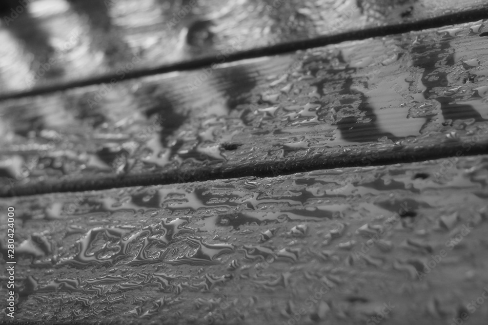 Rain Water on Wood Black and White
