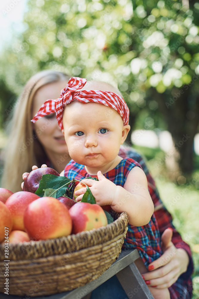 Girl with Apple in the Apple Orchard. Beautiful Girl Eating Organic Apple in the Orchard. Harvest Concept. Garden, Toddler eating fruits at fall harvest. Girl with Apple in the Apple Orchard. Beautiful Girl Eating Organic Apple in the Orchard. Harvest Concept. Garden, Toddler eating fruits at fall harvest.