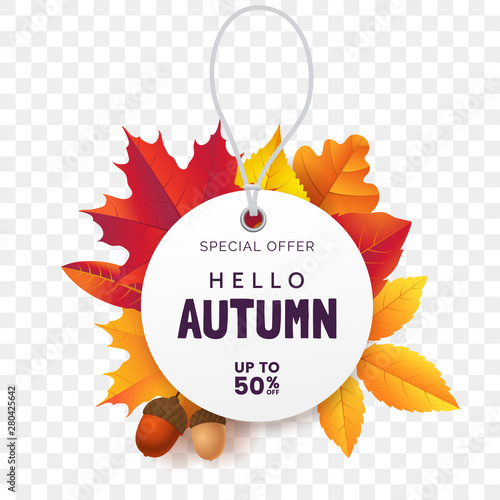 White round price tag against the background of fallen autumn foliage. Label for fall sale isolated on transparent background. Autumn promotion banner design. Vector illustration