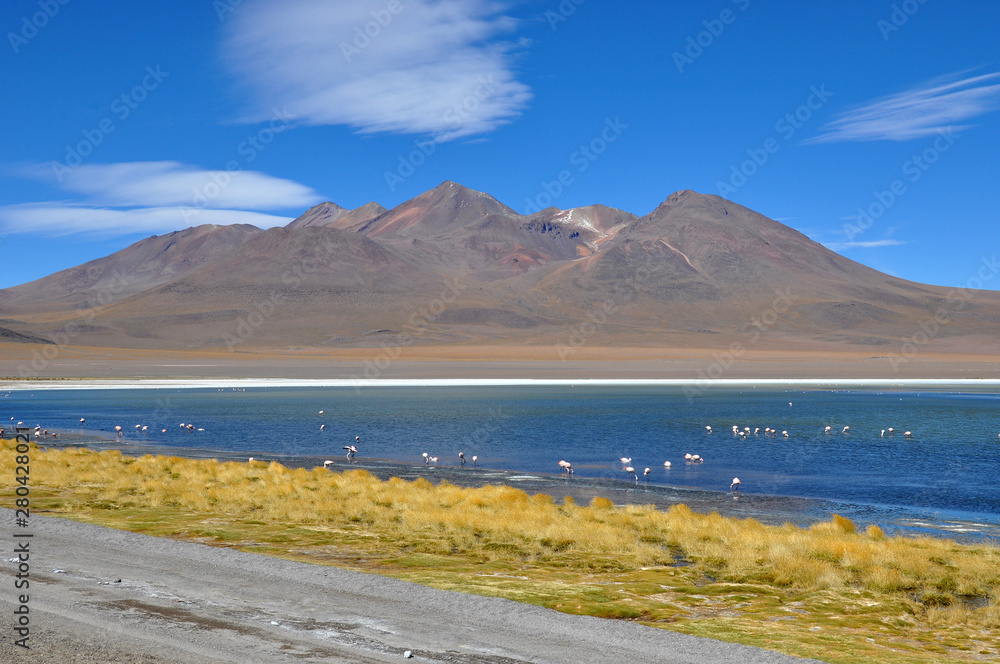 travelling through the andean mountains in bolivia, peru and chile to geysers, lagunas, la paz, city,