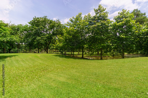 Green lawn surrounded by trees with blue sky.Beautiful landscaping in area Green field grass and forest.
