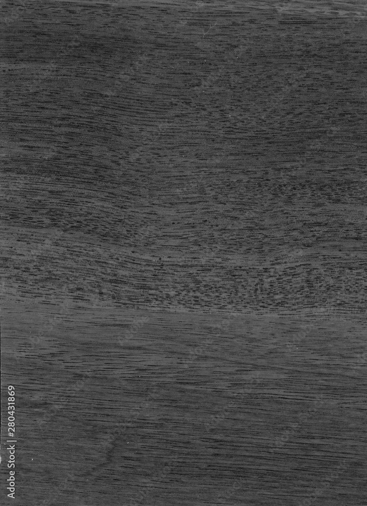 Old Wood texture,Bark texture for the background or text, Black and white style. Wood surface background in shades of grey Old Wood texture,Bark texture for the background or text, Black and white style. Wood surface background in shades of grey