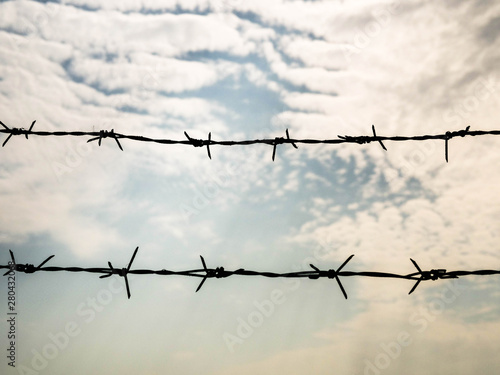 Barbed wire on sky background. Concept with copy space for restricted area  imprisonment  freedom