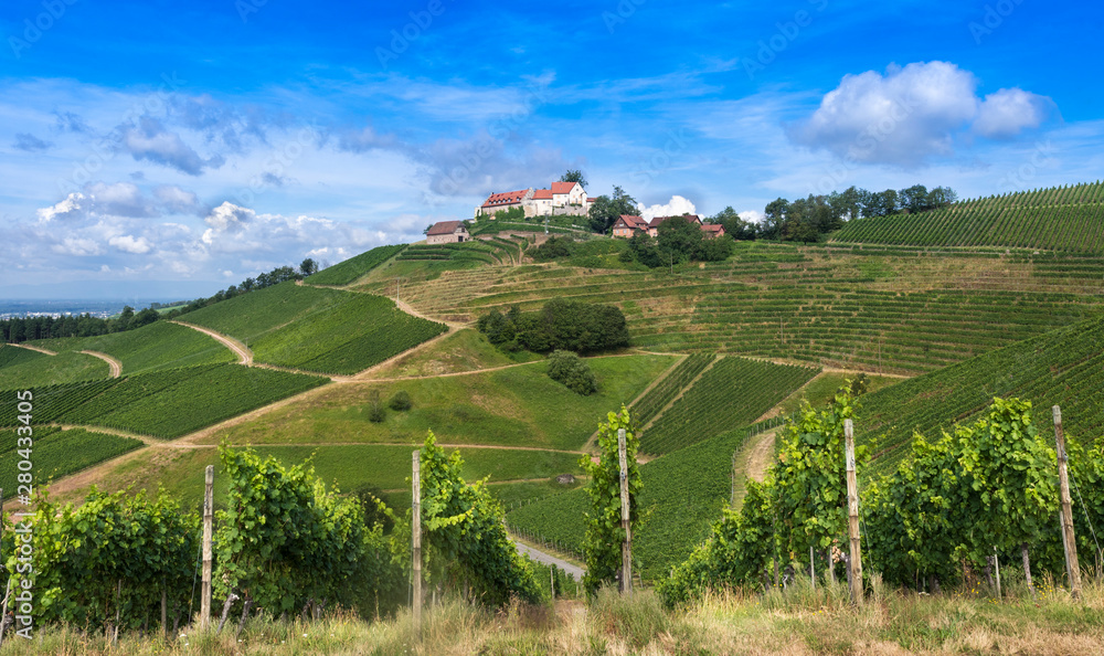 View of Staufenberg Castle in the middle of vineyards near.the village Durbach_Ortenau, Baden Wuerttemberg, Germany