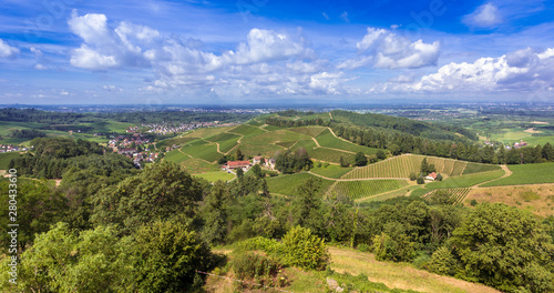 Fototapeta Naklejka Na Ścianę i Meble -  View from Staufenberg Castle to the Rhine Valley with grapevines near the village of Durbach in the Ortenau region_Baden, Baden Wuerttemberg, Germany