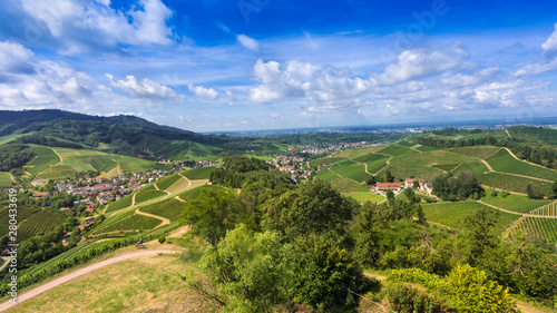 View from Staufenberg Castle to the Rhine Valley with grapevines near the village of Durbach in the Ortenau region_Baden  Baden Wuerttemberg  Germany