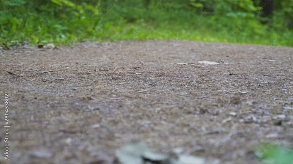 Woman runs along the path in the forest. The camera shoots from below. Woman runs along the path in the forest. The camera shoots from below.