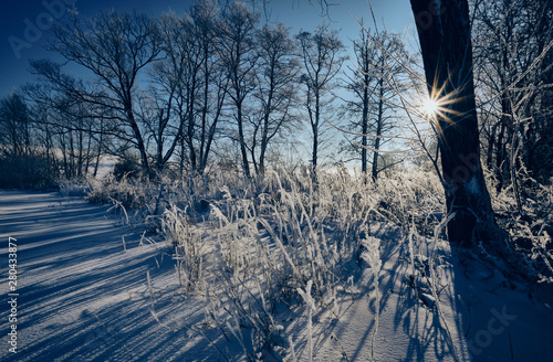 Beautiful frosty morning scenery with a snow covered landscape and the sun rising behind some bare frozen trees.