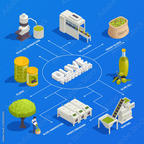 Olive Production Isometric Flowchart 