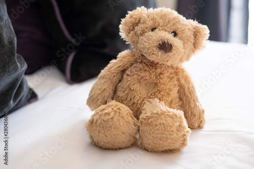 Cute teddy bear portrait, sitting on white