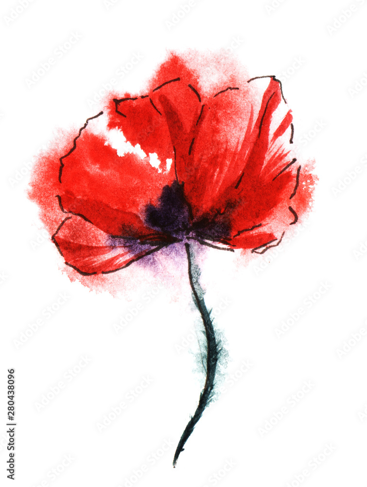 Obraz Colorful red poppy flower on black stalk isolated on white background. Watercolor hand drawn painting on paper texture. Brush stroke floral illustration with wet ink effect.