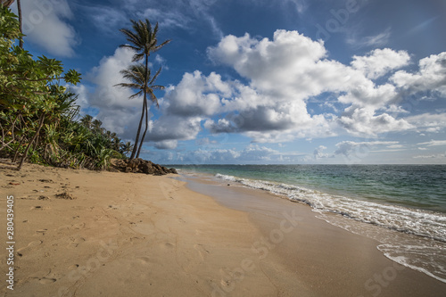 tropical beach with palm tree and clouds