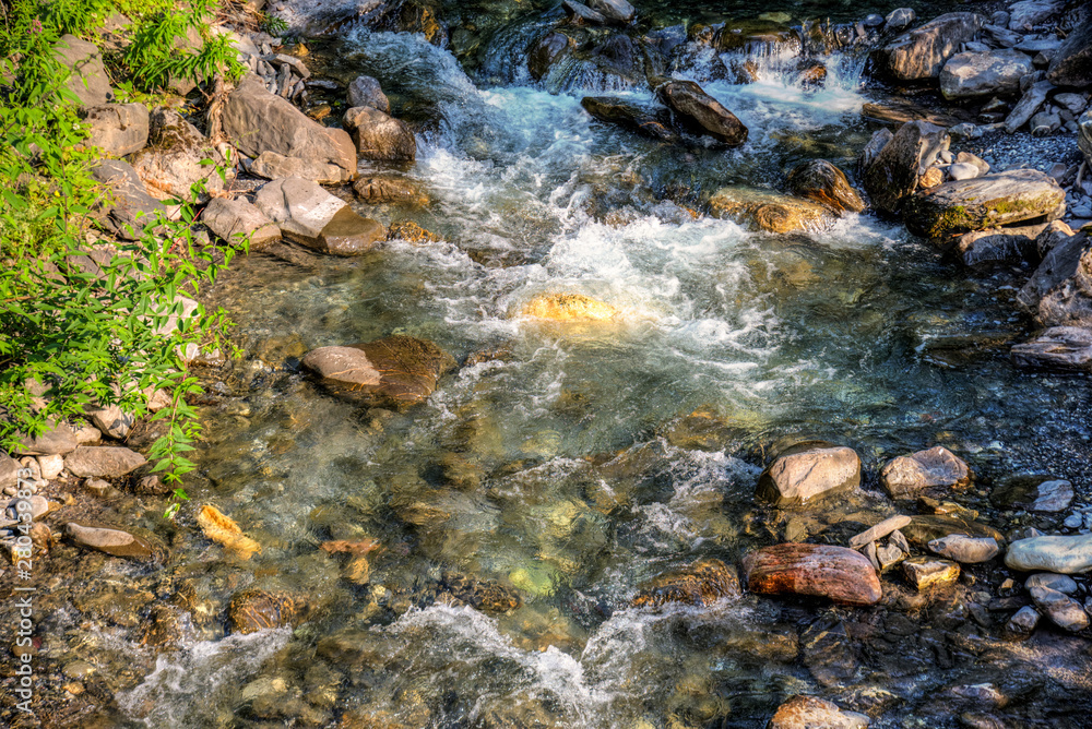 stream in the forest