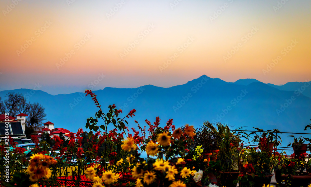 Scenic flower and hills background for wallpaper in Mussoorie India a hill  station image Stock Photo | Adobe Stock