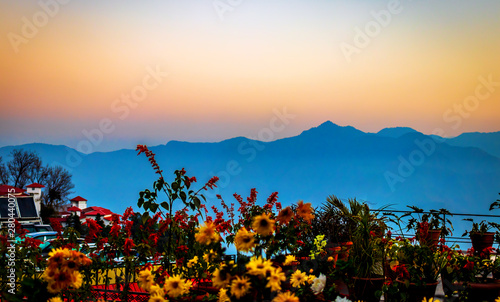 Scenic flower and hills background for wallpaper in Mussoorie India a hill station image 
