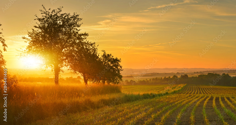 Fototapeta premium Sunrise farmland