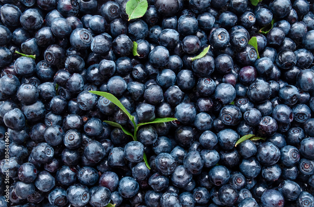 close-up background blueberries with leaves close-up background blueberries with leaves