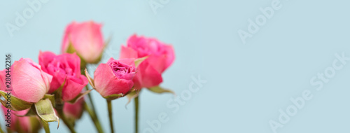 Pink Rose bouquet. Vintage retro style.