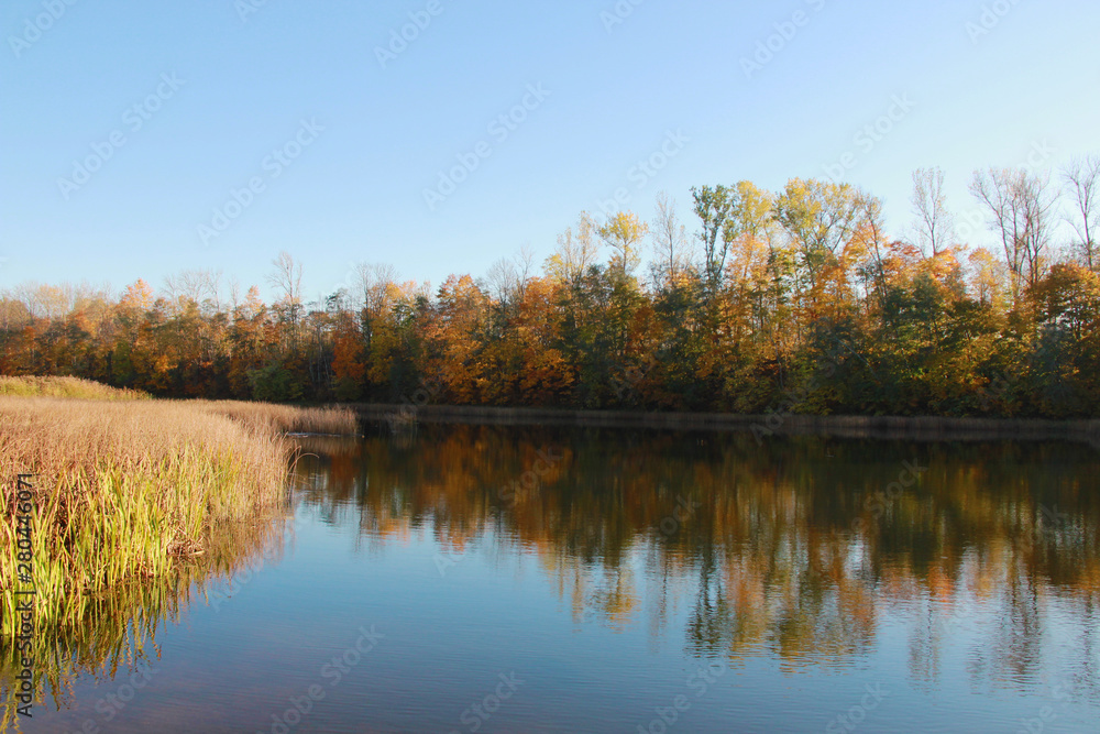 beautiful autumn scene with river and trees