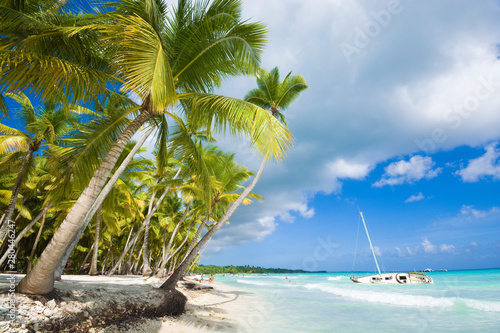 Tropical beach in Caribbean sea  Saona island  Dominican Republic