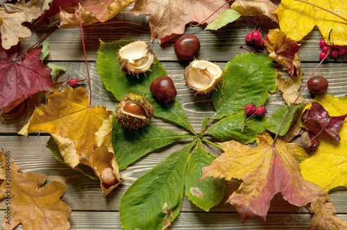 Autumn background of yellow and colored leaves, chestnuts and red berries on a brown wooden floor