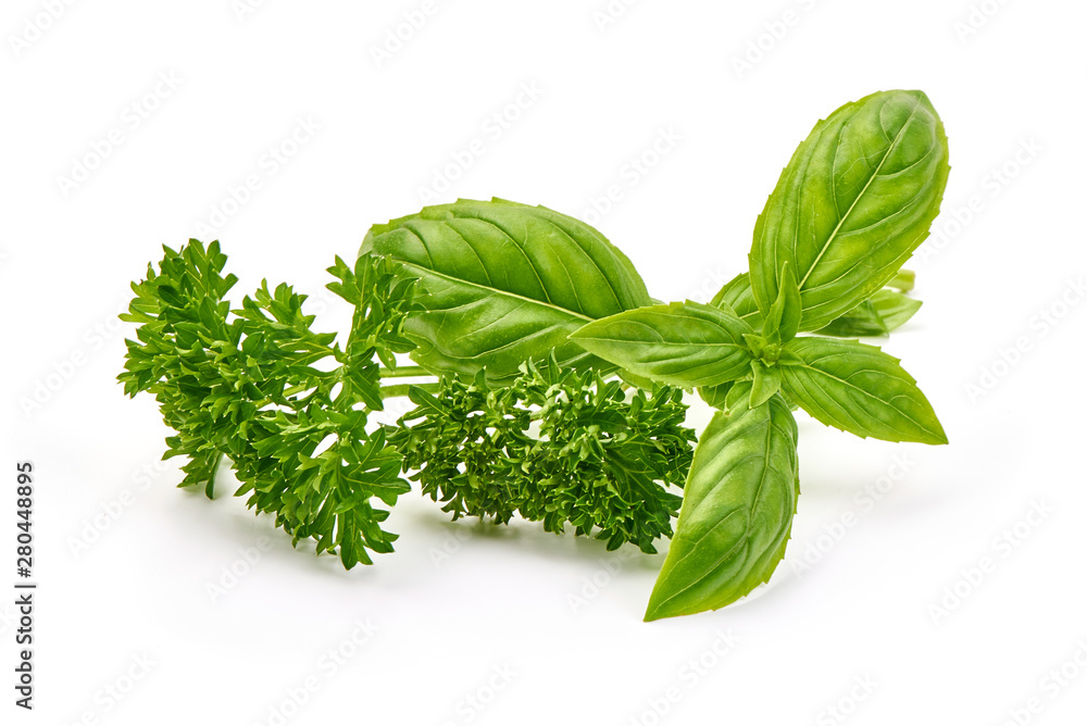 Fresh parsley and basil isolated on white background Fresh parsley and basil isolated on white background