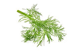 Fresh Green Dill, isolated on white background