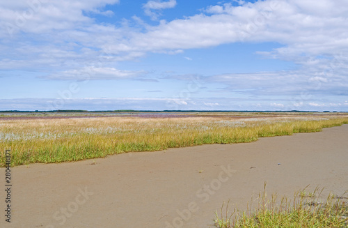 Laesoe / Denmark: Dry fallen tidal creek at the edge of a salt marsh on Kringelroen in the south of the Kattegat island