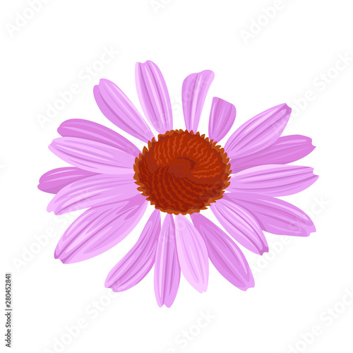 Echinacea isolated on white background. Medicinal flower icon. Vector illustration of a healing herb in cartoon flat simple style.