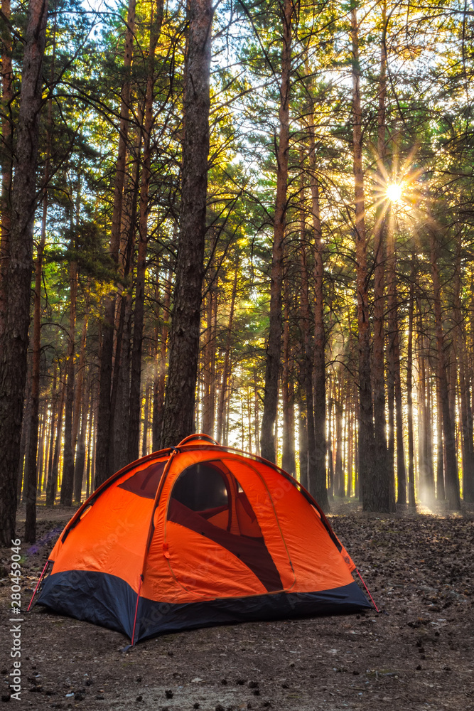 Orange tent in the morning forest. Morning outdoors